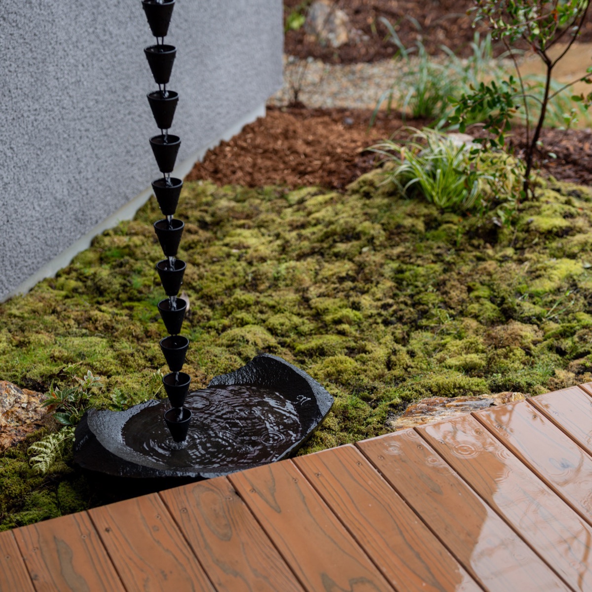 雨に濡れた庭に、見入る