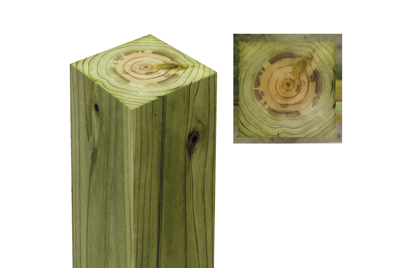 ハウスガードシステムで使用する腐らない木「緑の柱」 