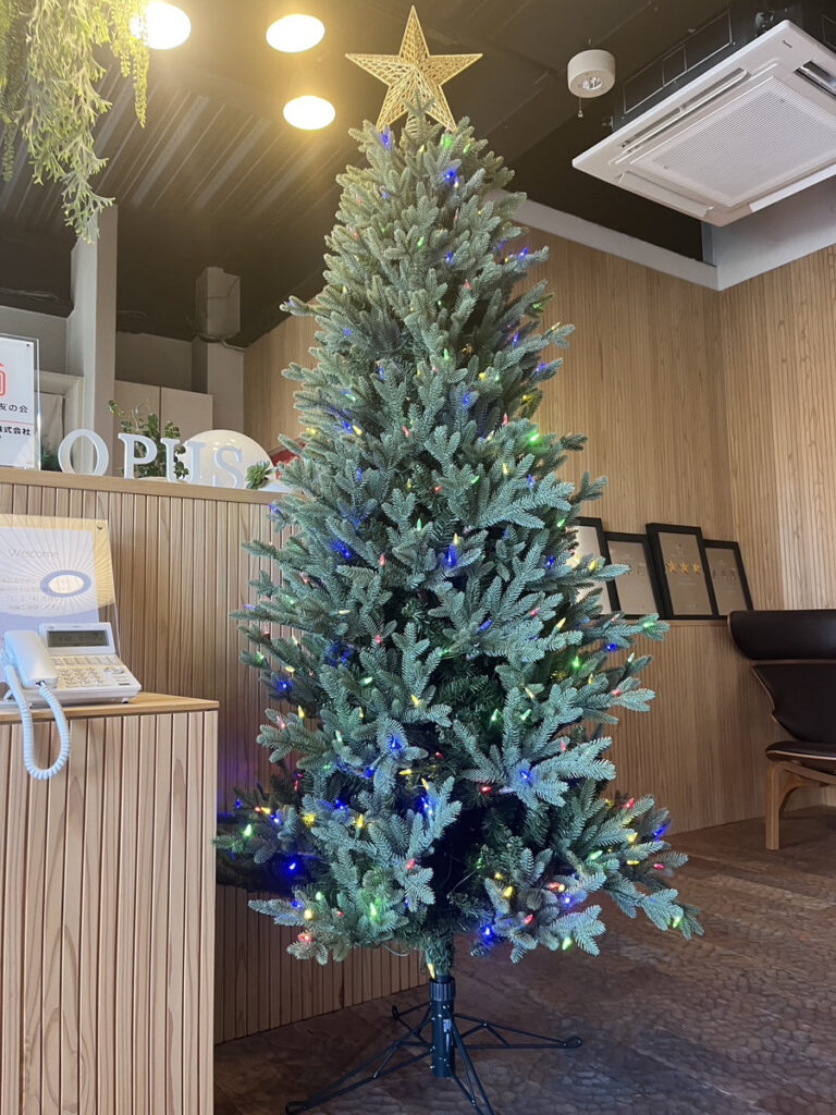 ｸﾘｽﾏｽﾂﾘｰがお迎えします！