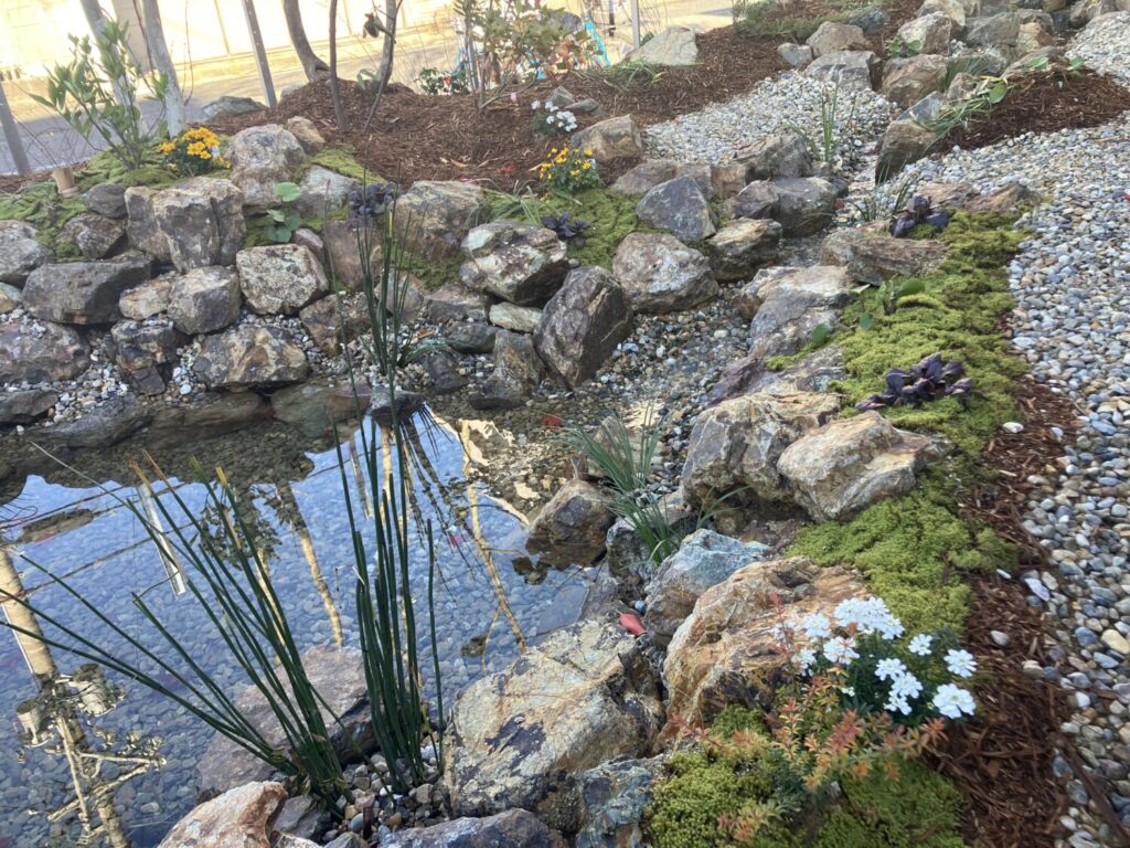 ワークショップ