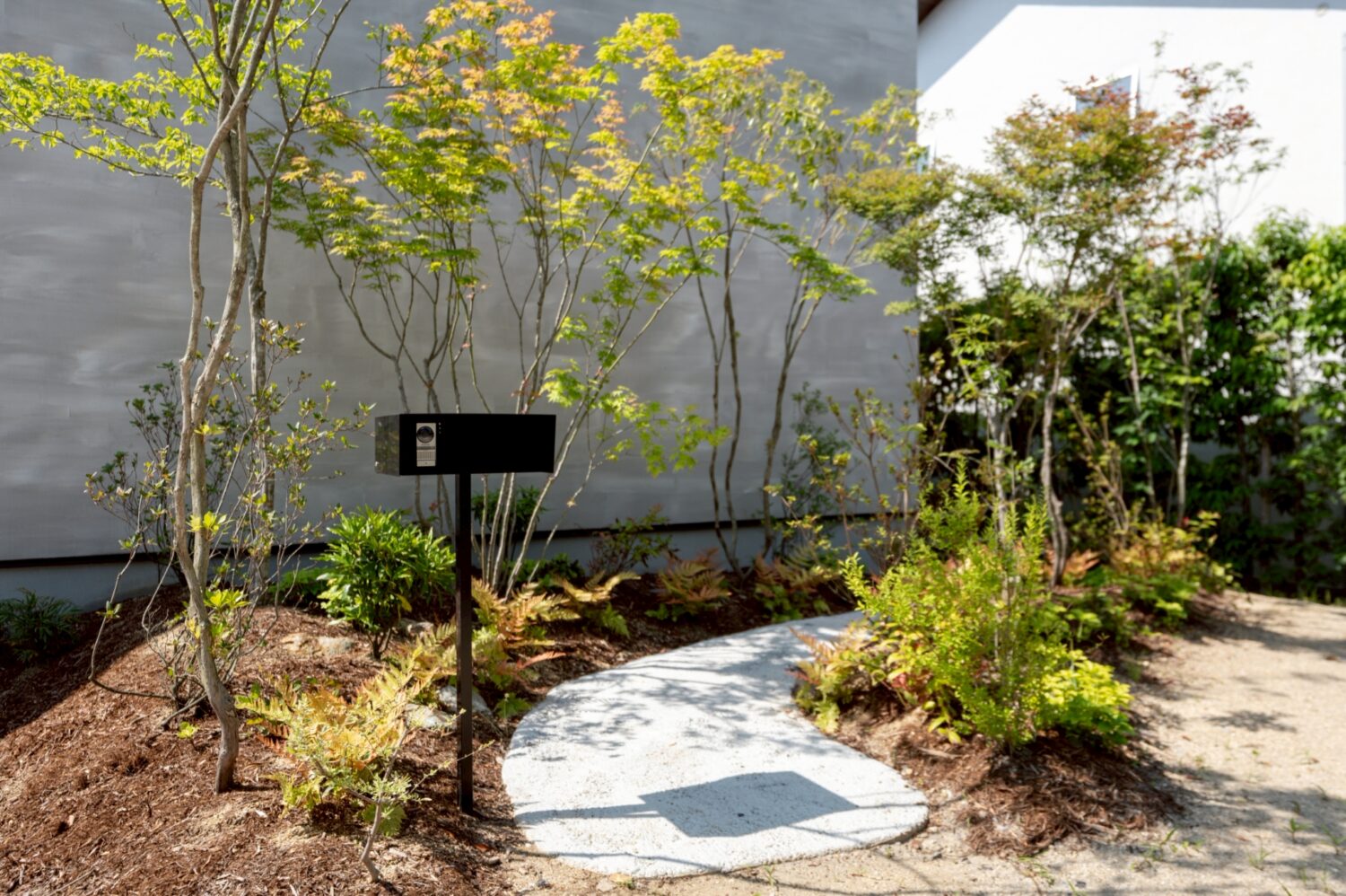将来は雑木林のように育つ植栽計画の玄関アプローチ|名古屋市守山区の施工事例 オーパススタイル