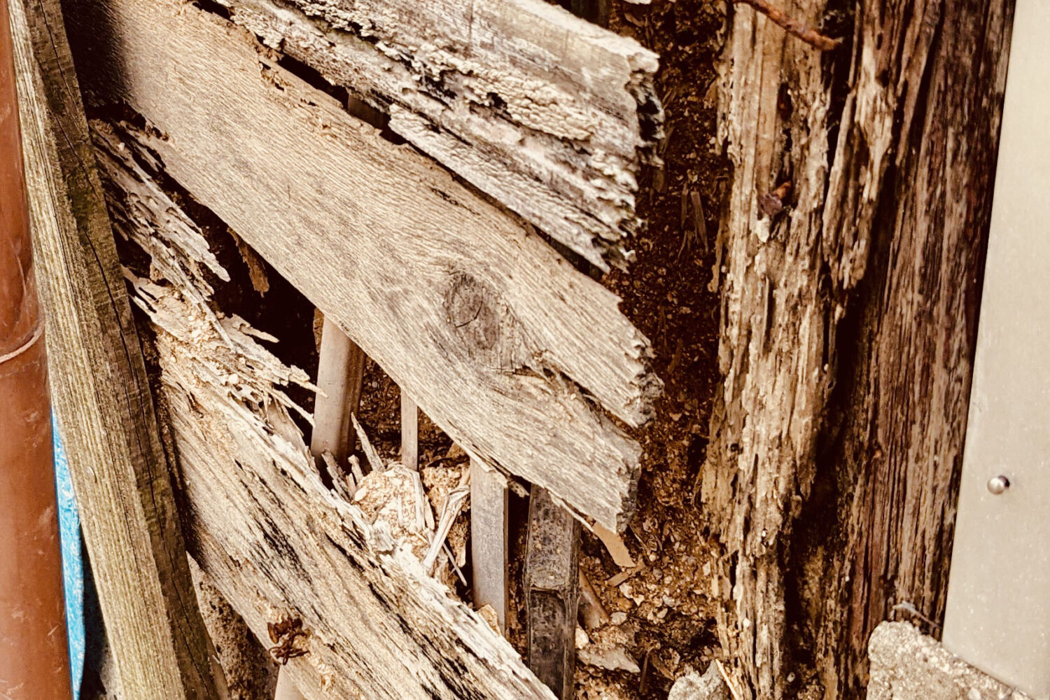 シロアリ被害のイメージ