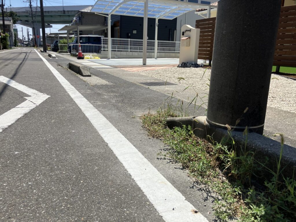 それがルールなので